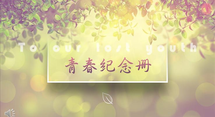 暖系風(fēng)格青春紀(jì)念相冊(cè)優(yōu)秀PPT模板