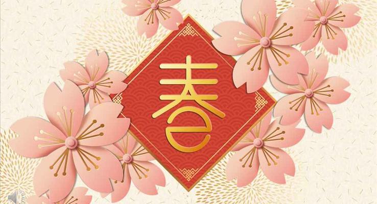 春色主題粉色花瓣風格新年規(guī)劃策劃計劃PPT模板