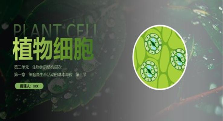 植物細(xì)胞ppt課件