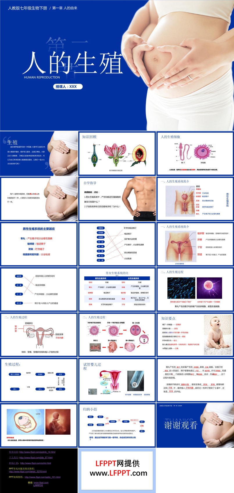 人的生殖PPT課件