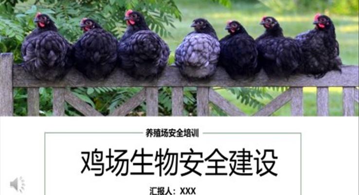 雞場生物安全建設(shè)安全生產(chǎn)PPT