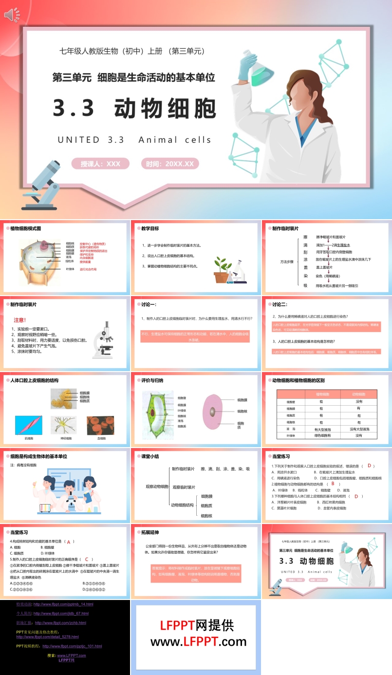 部編版七年級(jí)生物上冊(cè)動(dòng)物細(xì)胞課件PPT