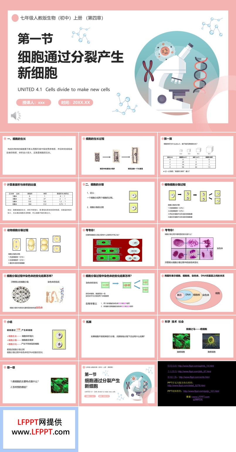 部編版七年級生物上冊細胞通過分裂產(chǎn)生新細胞課件PPT