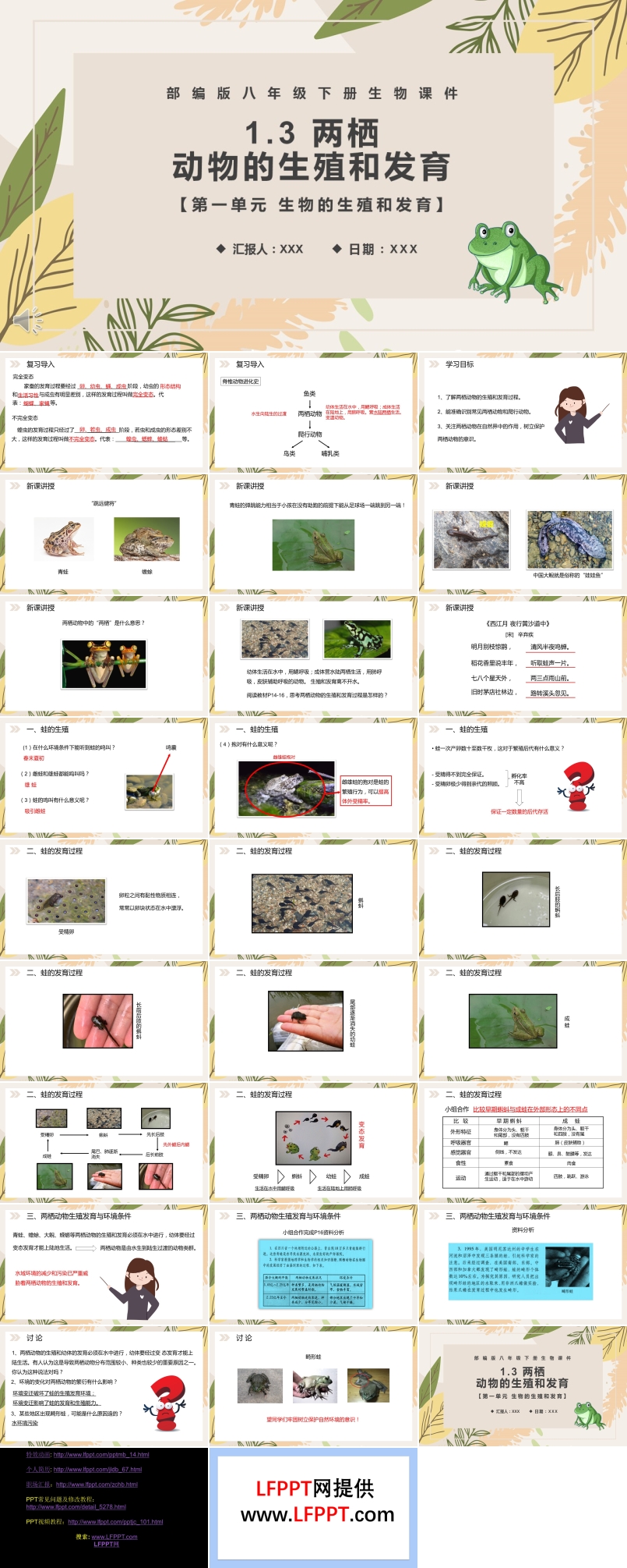 部編版八年級生物下冊兩棲動物的生殖和發(fā)育課件PPT