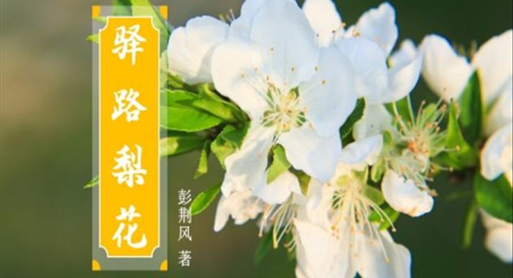 初中語文七年級《驛路梨花》教育教學課件PPT