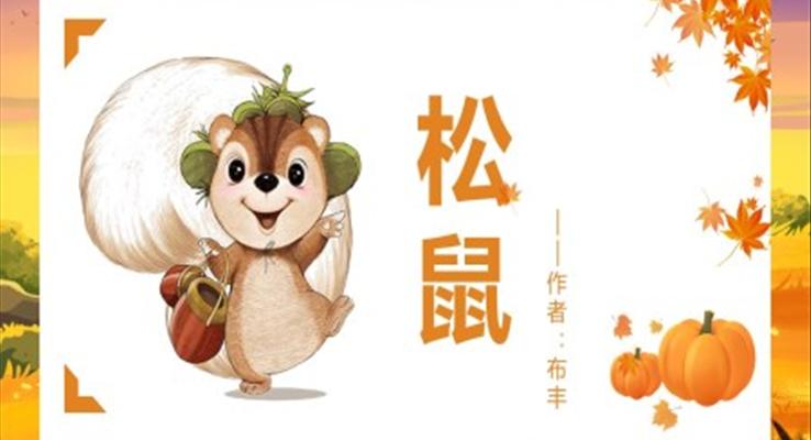 初中語(yǔ)文人教版五年級(jí)《松鼠》PPT課件