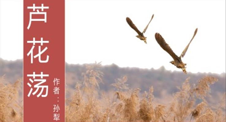 初中語(yǔ)文人教版八年級(jí)《蘆花蕩》教育教學(xué)課件PPT