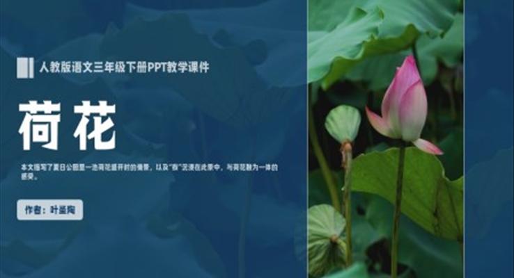 人教版語(yǔ)文三年級(jí)下冊(cè)葉圣陶《荷花》PPT教學(xué)課件