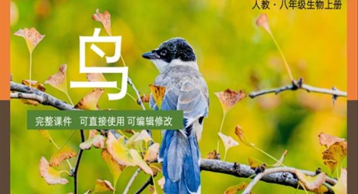 八年級(jí)上冊(cè)生物圈中的其他生物鳥(niǎo)PPT課件