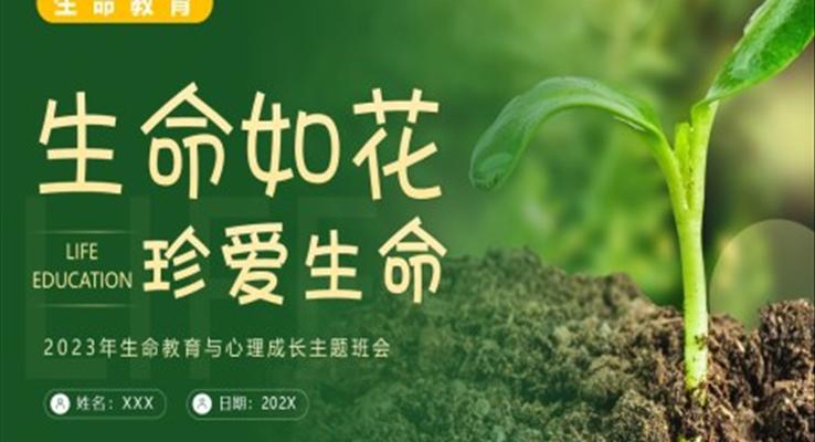 生命教育認(rèn)識生命珍愛生命安全教育主題班會PPT模板