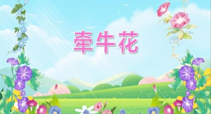 幼兒園教學(xué)課件科學(xué)教育《牽牛花》PPT課件