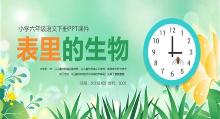 表里的生物ppt語文課件小學(xué)六年級下冊